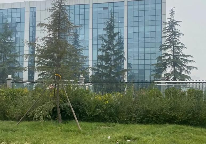 西安比亚迪工业园